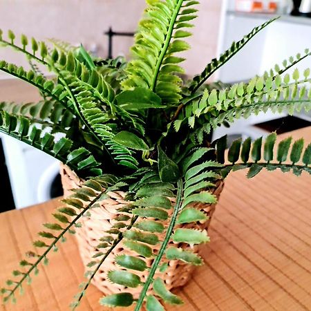 Le Petit Thai Appart 2 Pieces Zen Centre Ville มงต์เปอลิเยร์ ภายนอก รูปภาพ